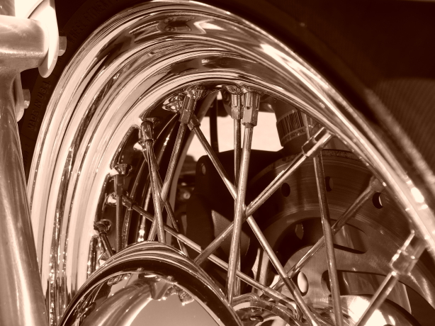 Sepia Front Rim